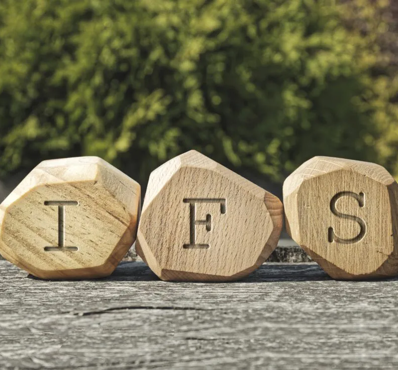 What_is_IFS_therapy_photo What is IFS Therapy