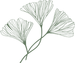 Ginko leaf